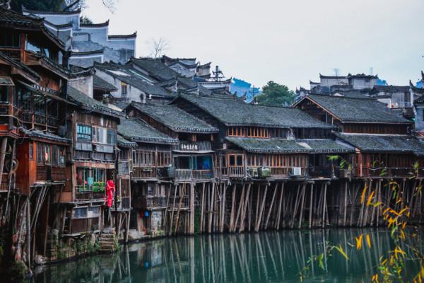 杭州一工地挖出“神秘物种”！一查身份，大有来头